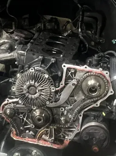 Timing chain, gears and tensioners exposed with the timing cover removed